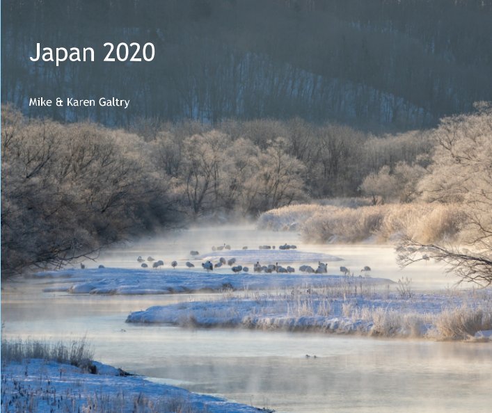 View Japan 2020 by Mike and Karen Galtry