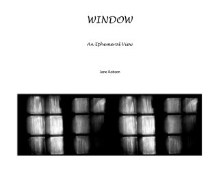 WINDOW book cover