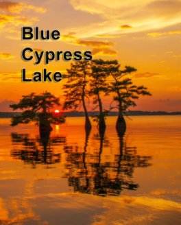 Blue Cypress Lake book cover