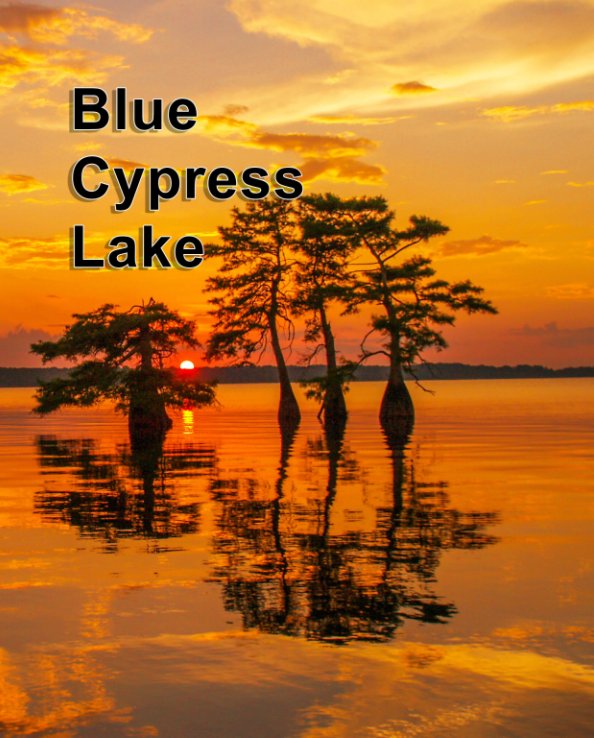 View Blue Cypress Lake by Conrad and Barbara Arguelles