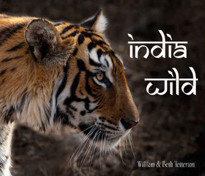 Visualizza India Wild di Beth Tetterton