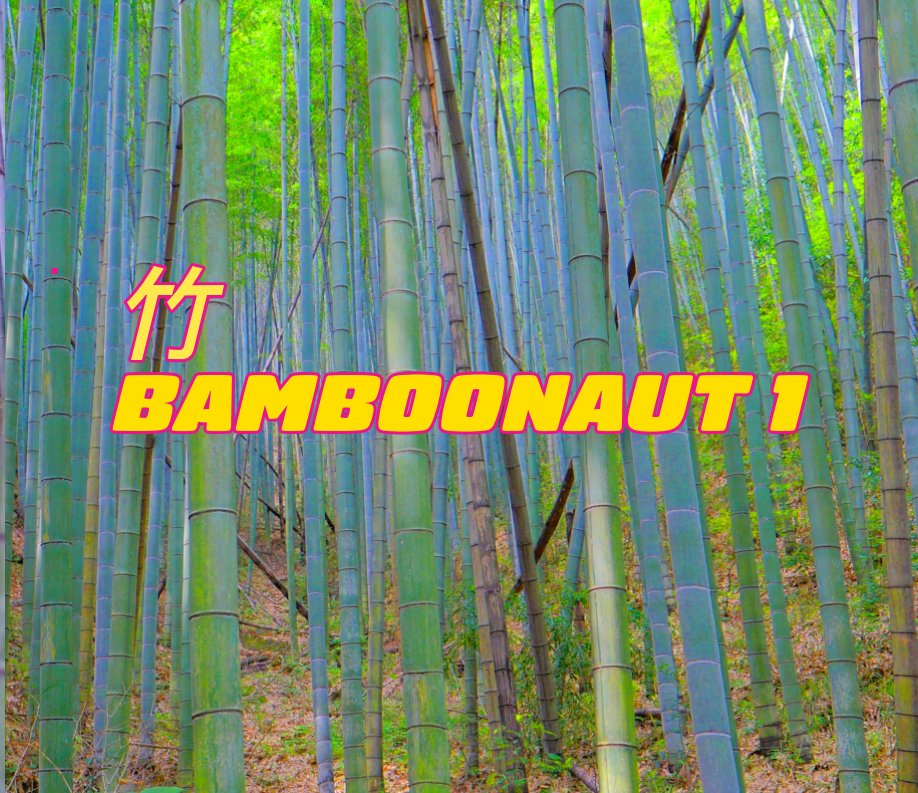 Visualizza Bamboonaut 1 di Torsten Zenas Burns
