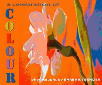 a celebration of COLOUR book cover