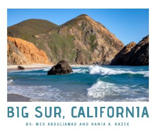 Big Sur, California book cover