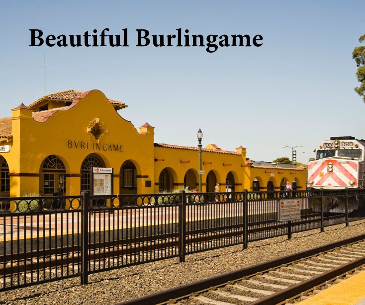 View Beautiful Burlingame by DENNIS MAYER