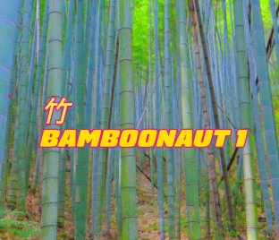 Bamboonaut 1 book cover