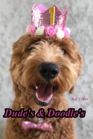 Dude's and Doodle's book cover