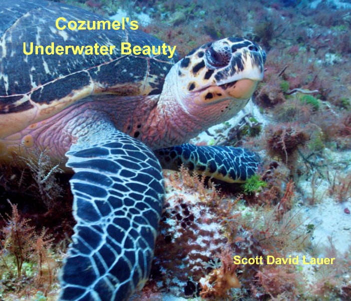 Ver Cozumel's Underwater Beauty por Scott Lauer