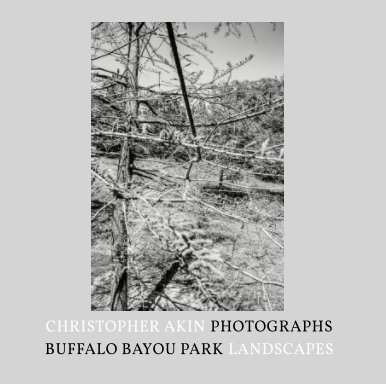 Buffalo Bayou Park Landscapes book cover