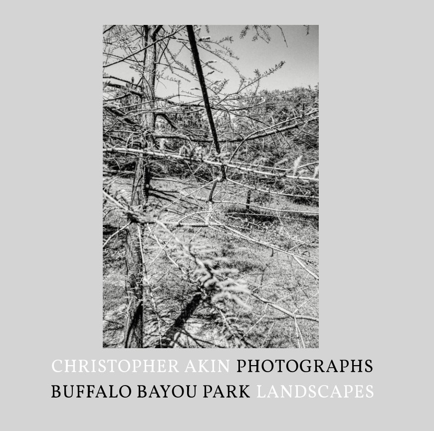 View Buffalo Bayou Park Landscapes by Christopher Akin