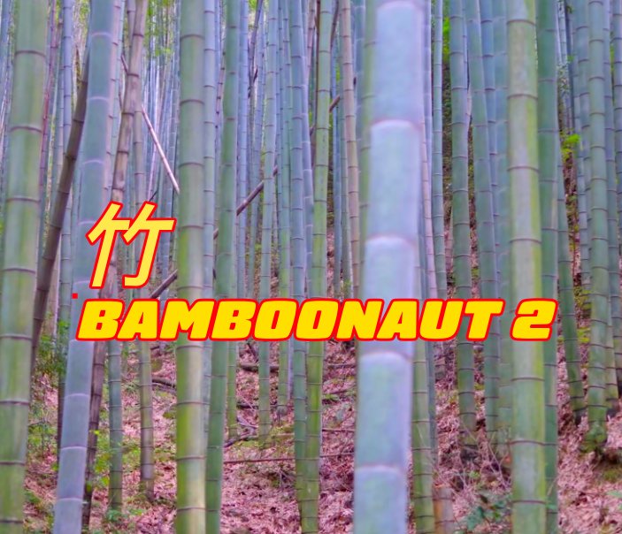 Bamboonaut 2 nach Torsten Zenas Burns anzeigen
