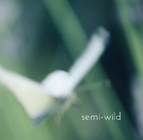 View semi-wild by Sashat