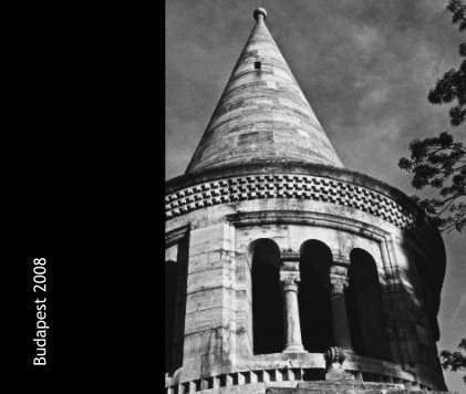 Budapest 2008 book cover