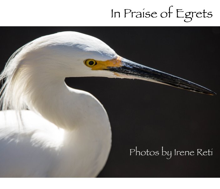 View In Praise of Egrets by Irene Reti