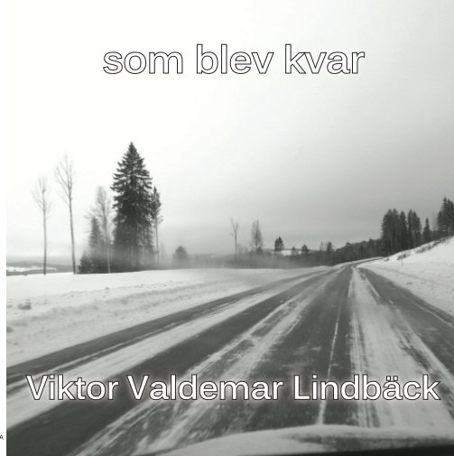 Bekijk som blev kvar op Viktor Valdemar Lindbäck