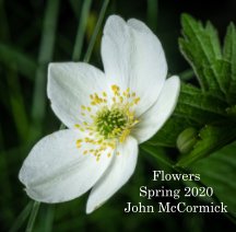 Flowers Spring 2020 book cover