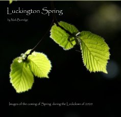 Luckington Spring book cover