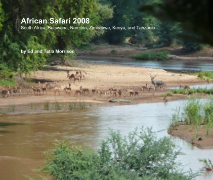 African Safari 2008 South Africa, Botswana, Namibia, Zimbabwe, Kenya, and Tanzania book cover