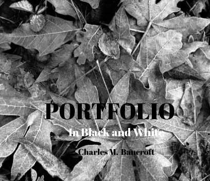 Portfolio - Point Lobos book cover