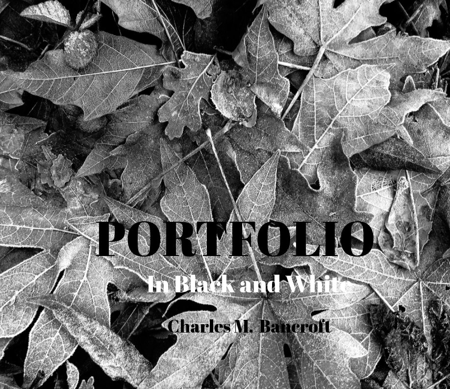 Ver Portfolio - Point Lobos por Charles M. Bancroft