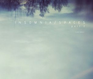 insomnia/spaces 2 book cover
