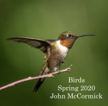 Birds Spring 2020 book cover
