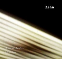 Zehn book cover
