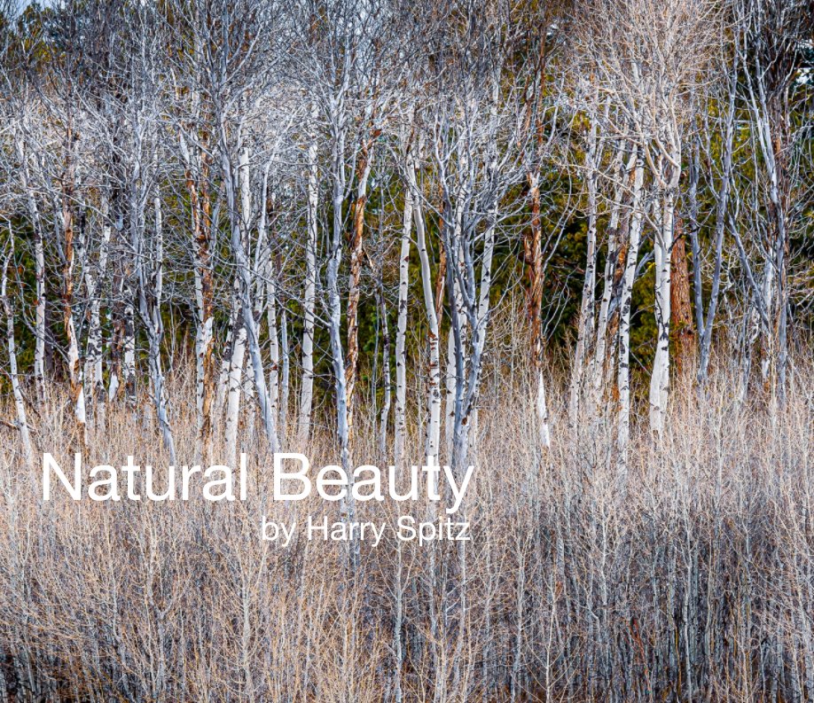 View Natural Beauty by Harry Spitz