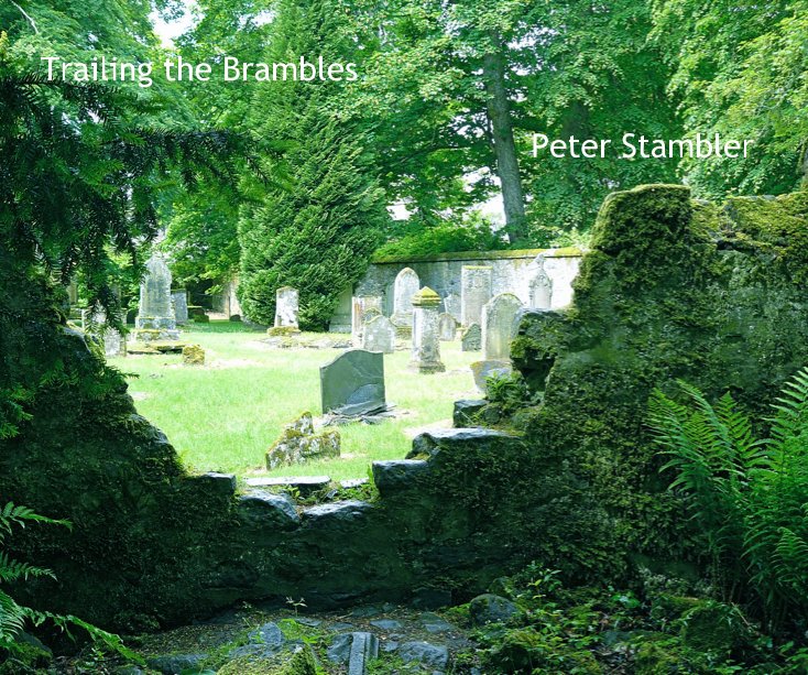 View Trailing the Brambles Peter Stambler by Peter Stambler