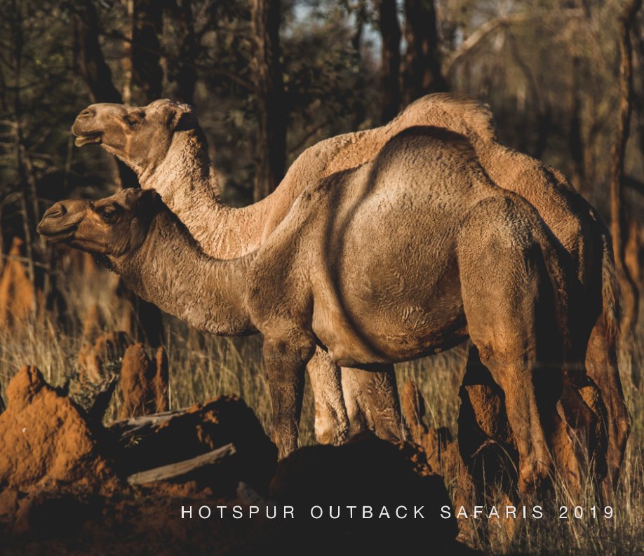 Bekijk Hotspur Outback Safaris 2019 op John Tsialos