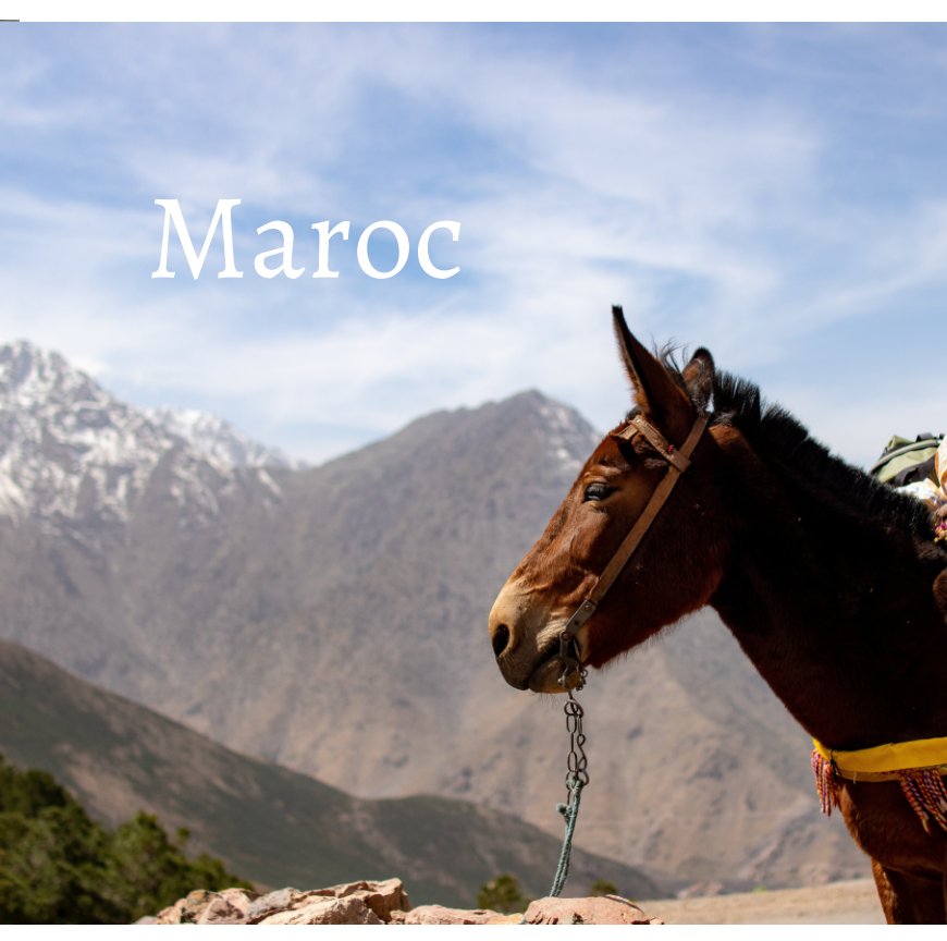 View Maroc by Alan C. Palmer