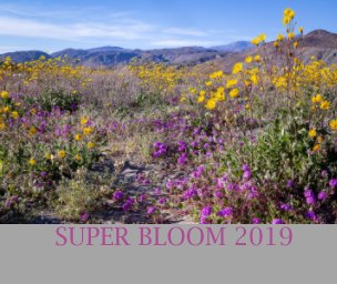 Super Bloom 2019 book cover