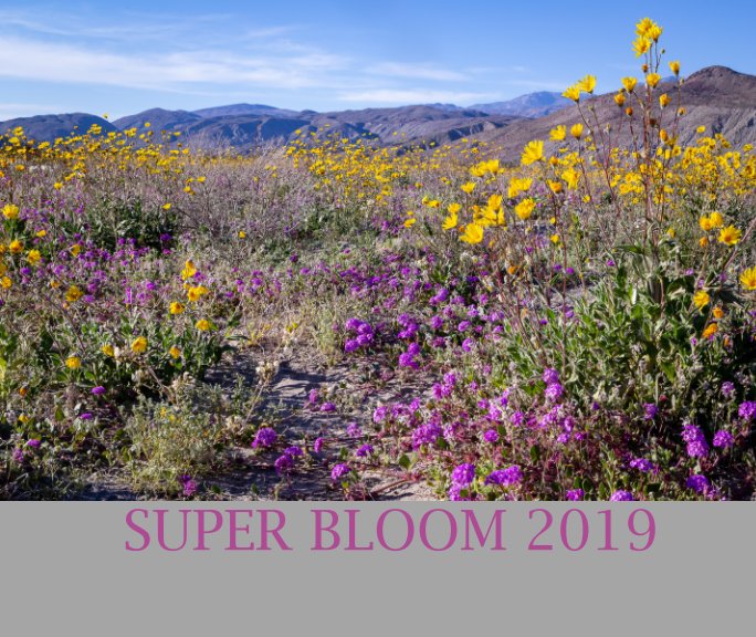 View Super Bloom 2019 by Joan Biordi
