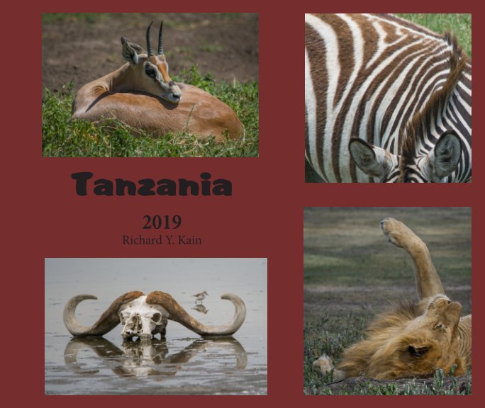 View Tanzania by Richard Y. Kain