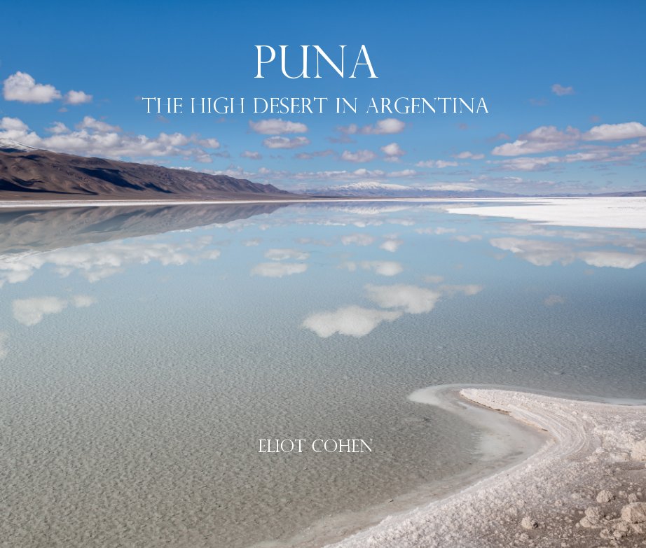 View Puna   The High Desert in Argentina by Eliot Cohen