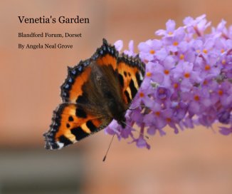 Venetia's Garden book cover