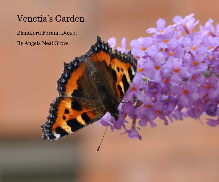 View Venetia's Garden by Angela Neal Grove