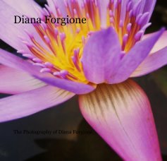 Diana Forgione book cover
