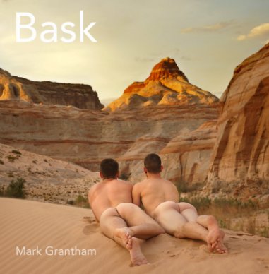 Bask book cover
