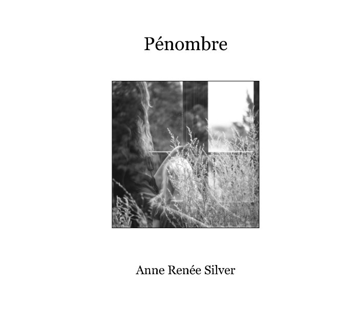 View Pénombre by Anne Renée Silver