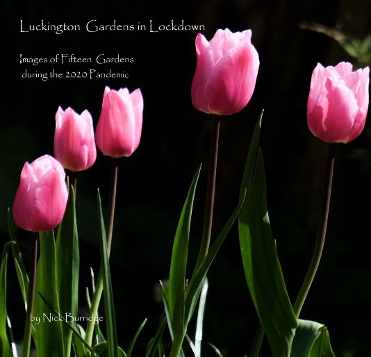 View Luckington Gardens in Lockdown Images of Fifteen Gardens during the 2020 Pandemic by Nick Burridge