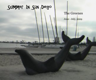 Summer In San Diego book cover