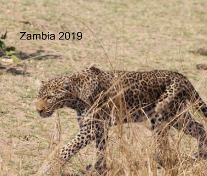 Zambia 2019 book cover