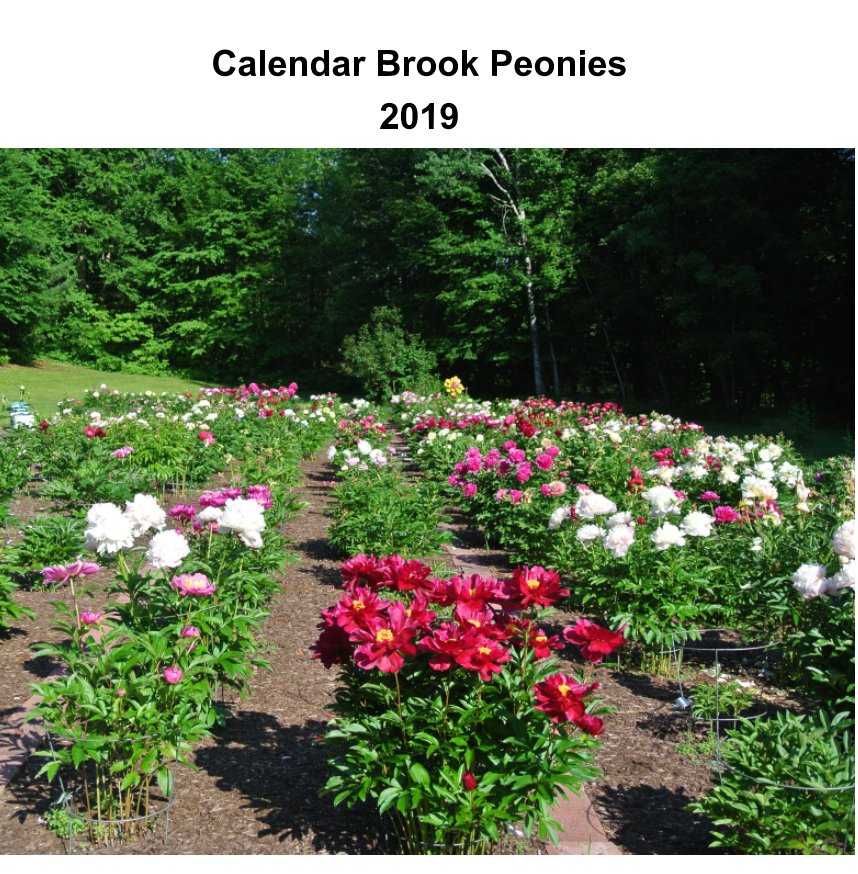 Calendar Brook Peonies 2019 nach David Buzzell anzeigen
