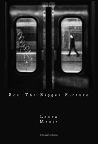 See The Bigger Picture book cover