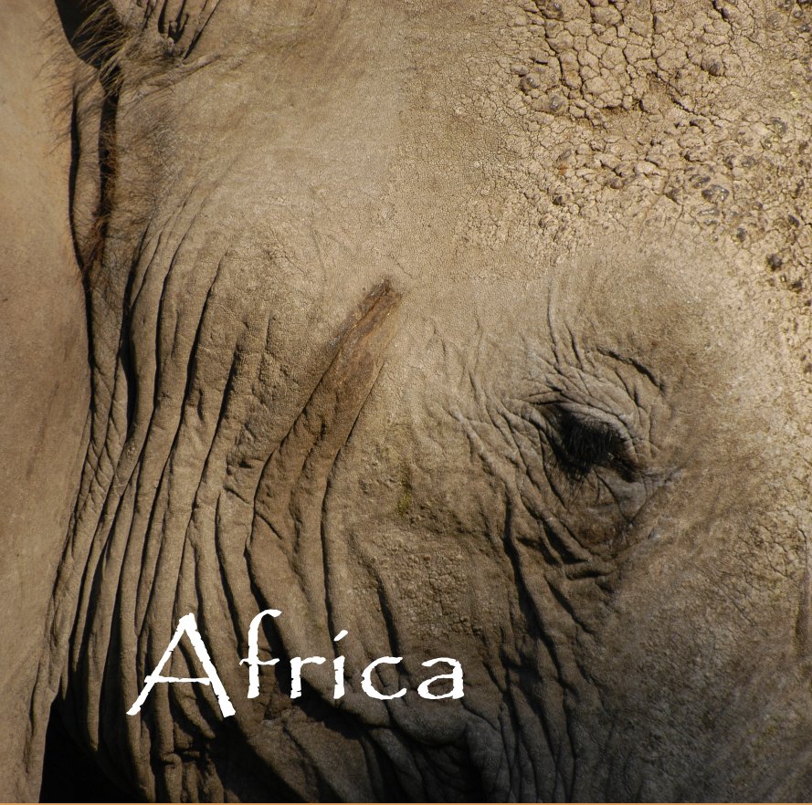 View Africa by Sarah Ryan