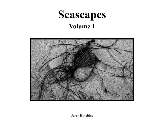 Visualizza Seascapes- Volume 1 di Jerry Hutchins