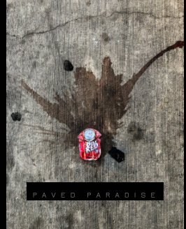 Paved Paradise book cover
