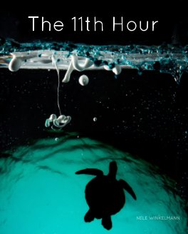 The 11th Hour book cover