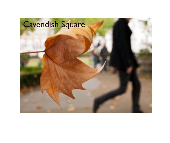 View Cavendish Square by Richard Stern